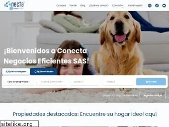 conectane.com