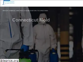 connecticutmold.com