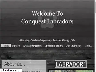 conquestlabradors.com