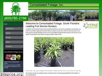 consolidatedfoliage.com