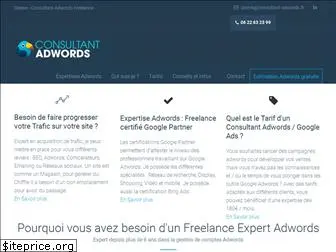 consultant-adwords.fr