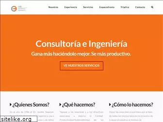 consultoriaeingenieria.org