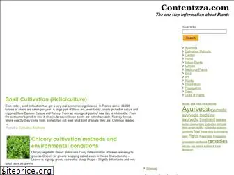 contentzza.com