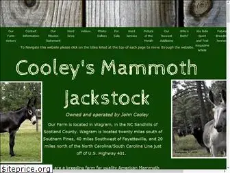 cooleysmammothjackstock.com