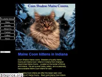 coonshadowmainecoons.com