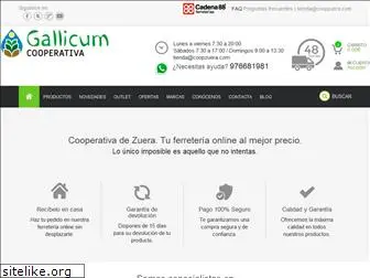 cooperativazuera.com