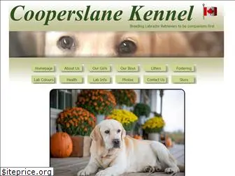 cooperslane.com