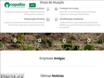 copaiba.org.br