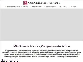 copperbeechinstitute.org