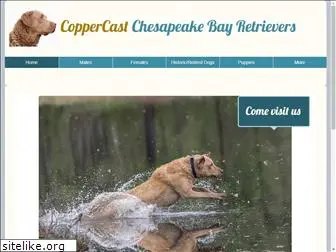 coppercastchesapeakes.com