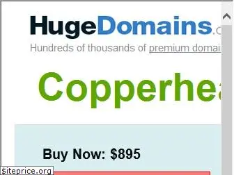 copperheadleather.com