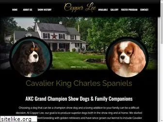 copperlee.com