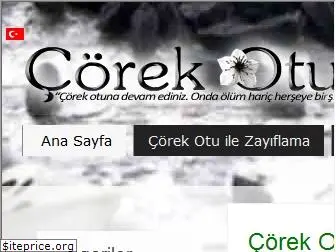 coreklen.com