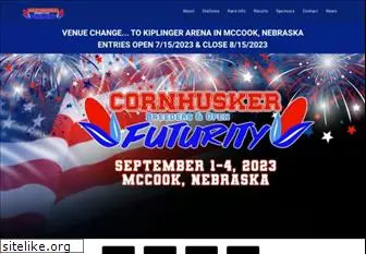 cornhuskerfuturity.com