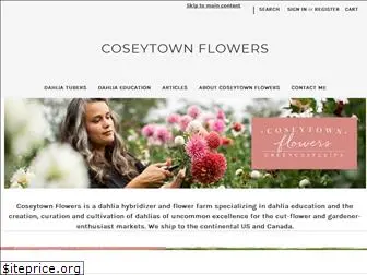 coseytownflowers.com