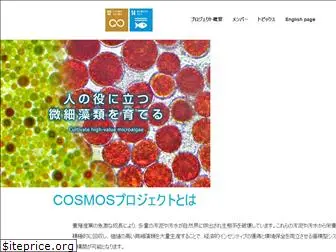 cosmos-satreps.org