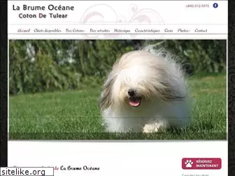 cotondetulear.ca