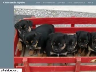 countrysidepuppies.com