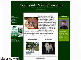 countrysideschnoodles.com