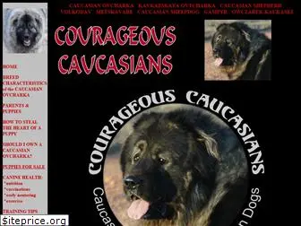 courageouscaucasians.com