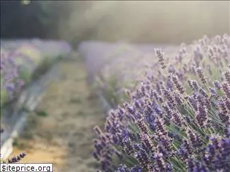 cowichanvalleylavender.com