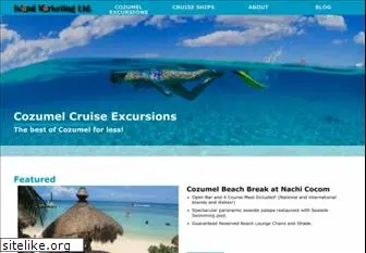 cozumelcruiseexcursions.com