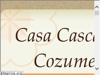 cozumelhome.com