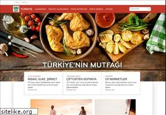 cpturkiye.com