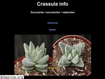 crassula.info