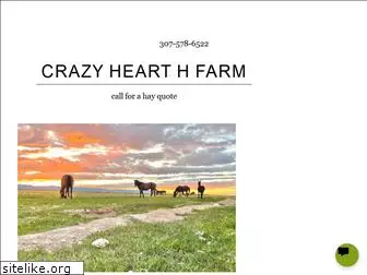 crazyheart-h.com