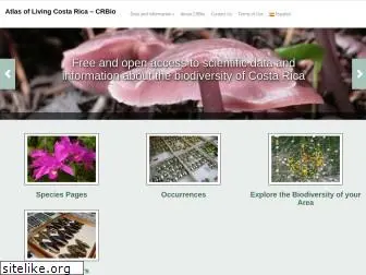 www.crbio.cr