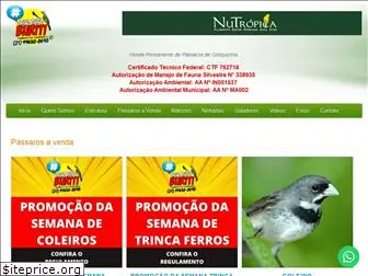 criadouroburiti.com.br