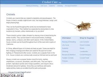 cricketcare.org