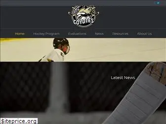 crowfoothockey.com