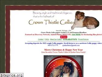 crownthistlecollies.com