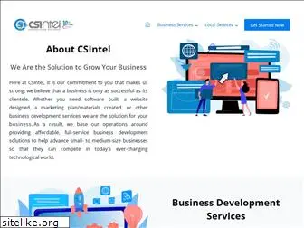 csintel.com