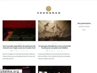 csongrad.net