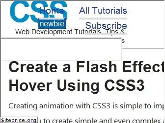 cssnewbie.com