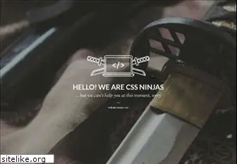 cssninjas.com