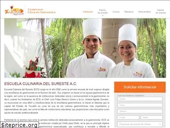 culinaria.edu.mx