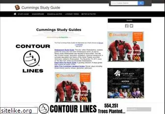 cummingsstudyguides.net