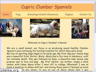 cupricclumbers.com