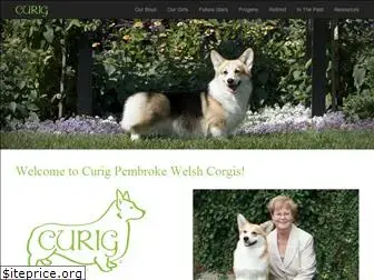 curigcorgis.com