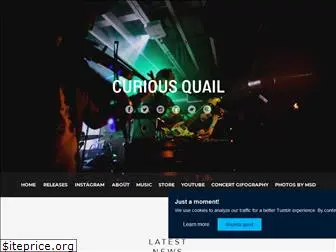 curiousquail.com