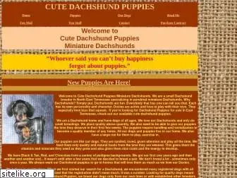 cutedachshundpuppies.com