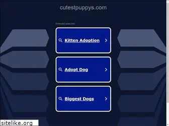 cutestpuppys.com