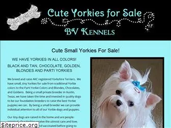 cuteyorkiesforsale.com