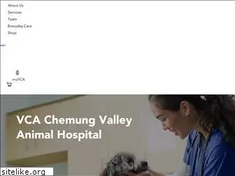 cvvetclinic.com