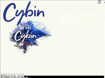 cybin.com