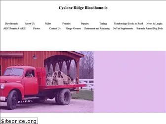 cycloneridgekennels.com